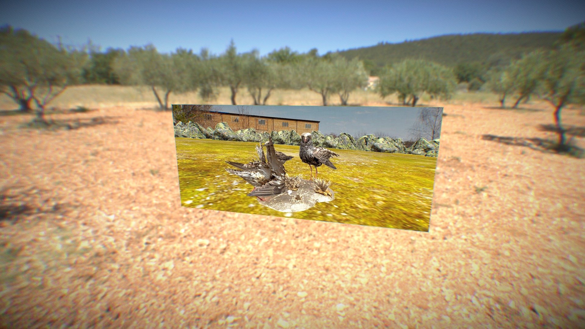 lekking ruffs photomaterialgraph