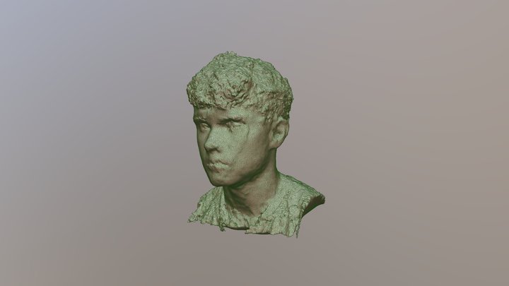 Male Figure #1 Mesh 3D Model