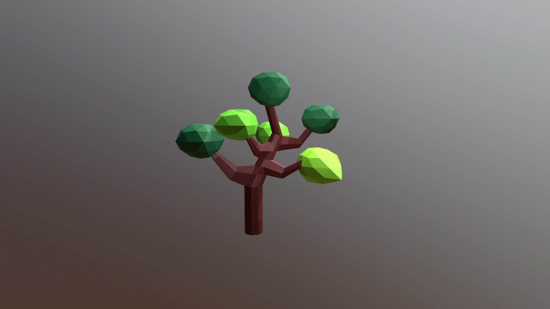 albero