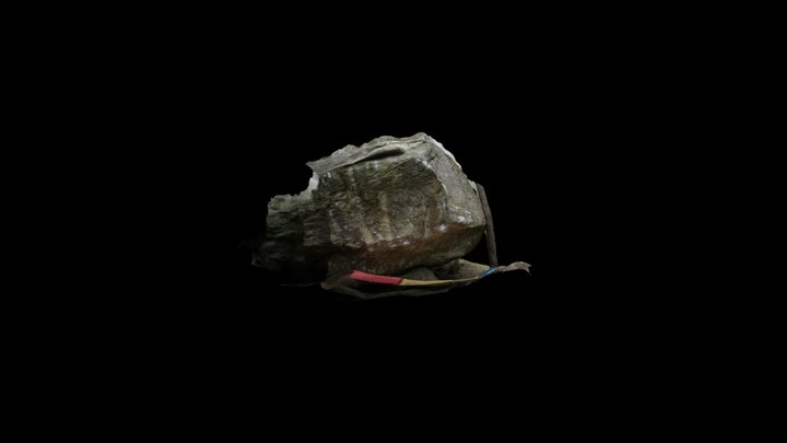 sh_t_reduced 3D Model