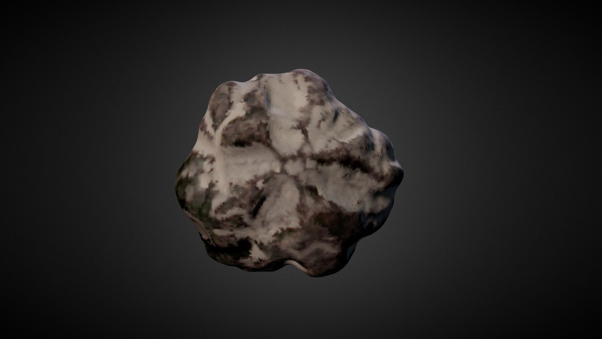 Pebble with partial echinoderm