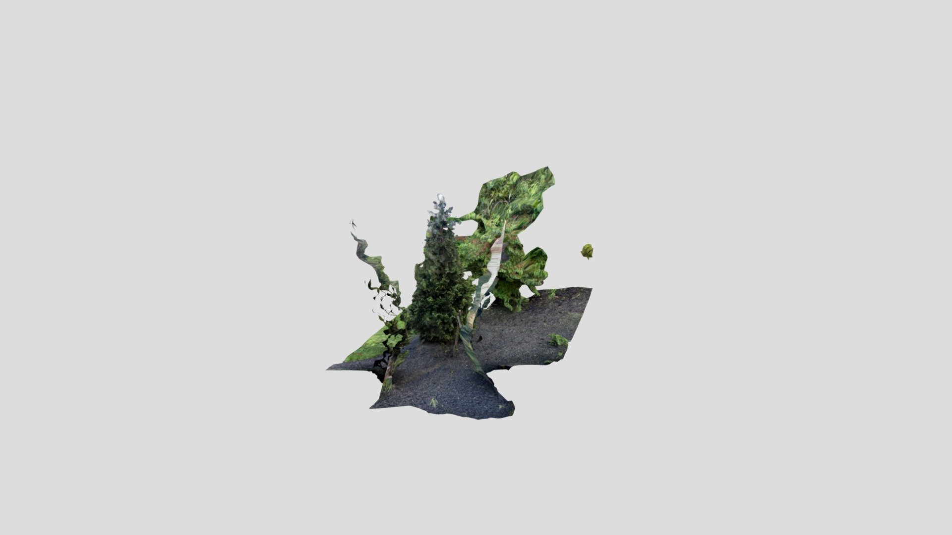 Outdoor tree [app]