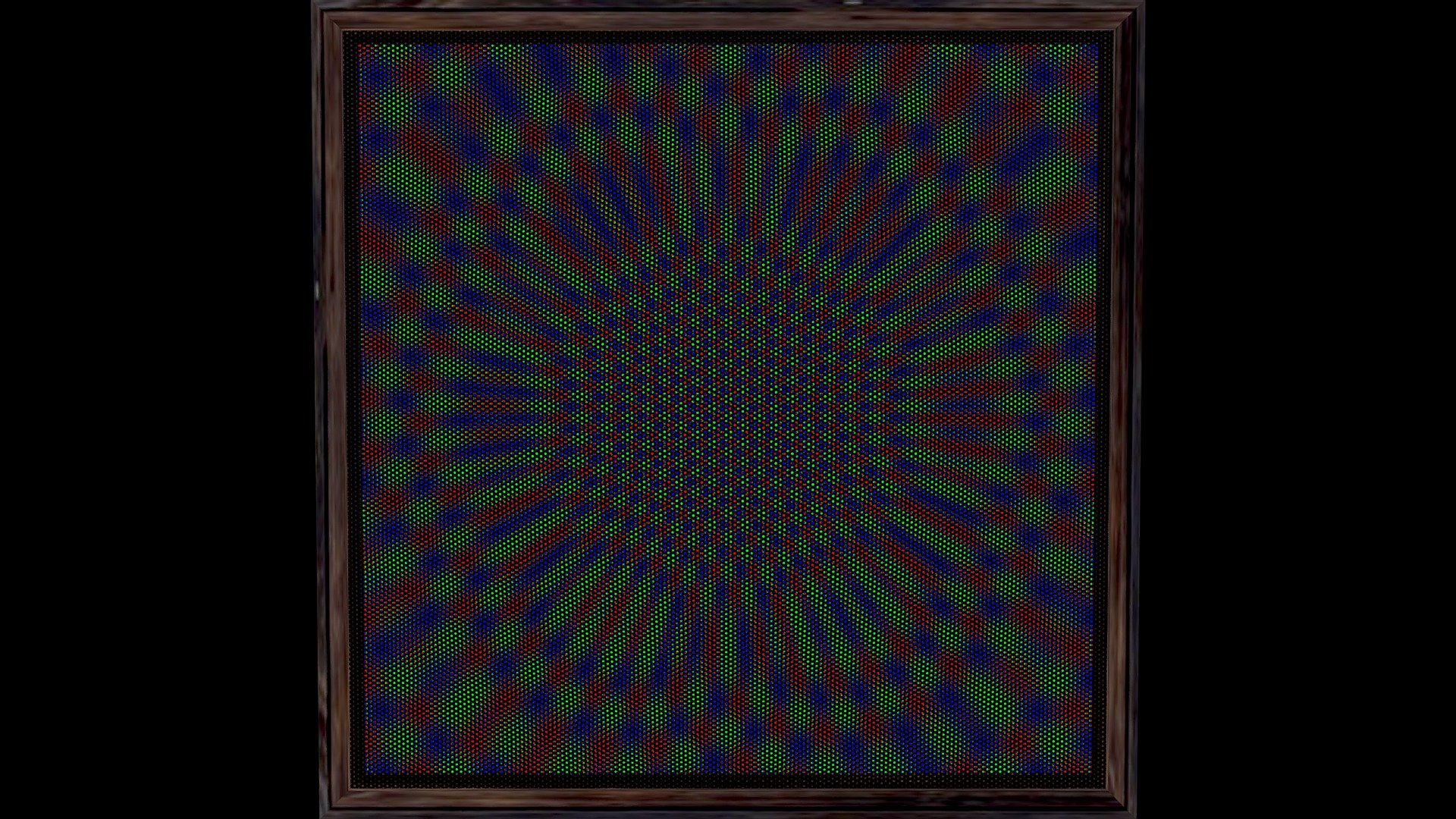 Diatomea 2
