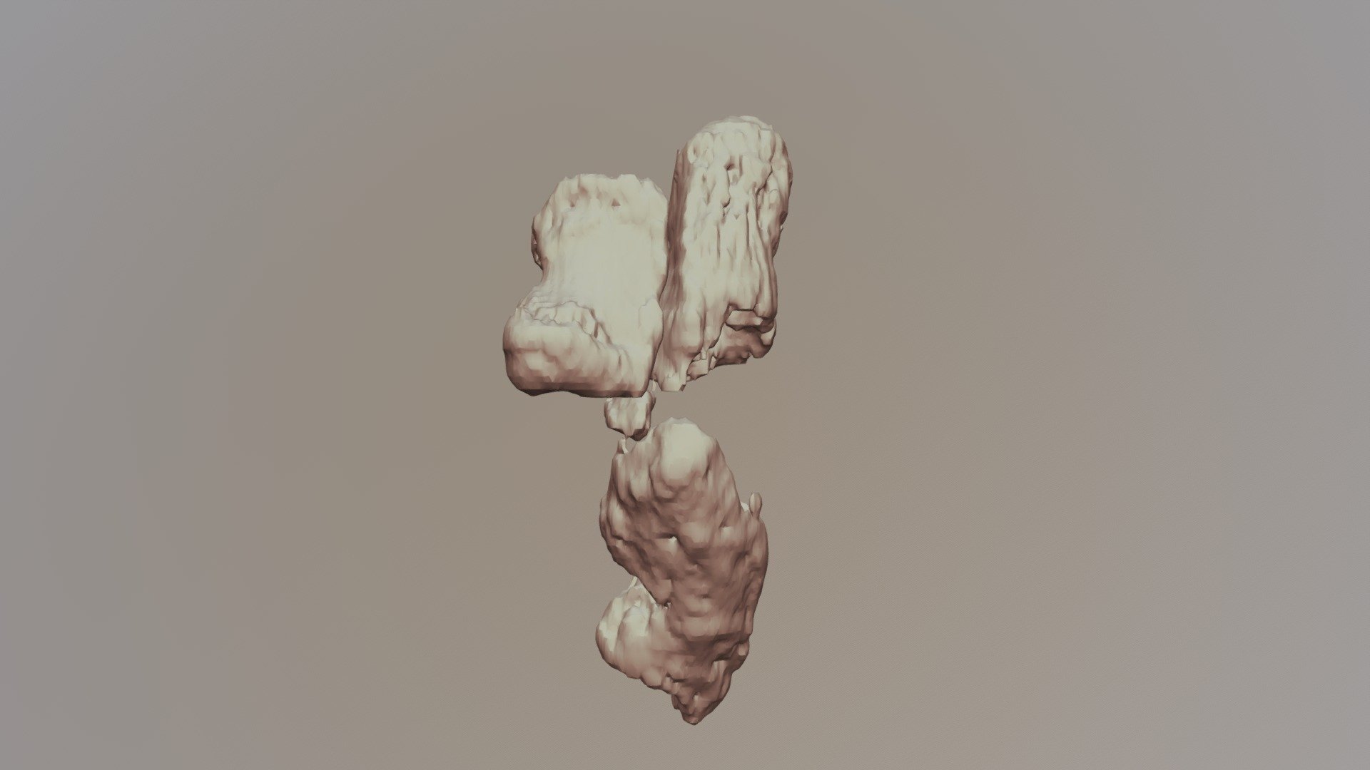 Prehallux "sixth toe" of an elephant