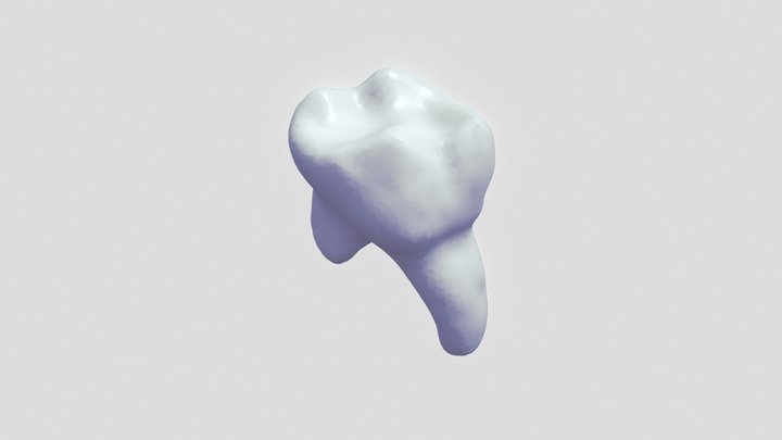 UD3 Tooth 3D Model