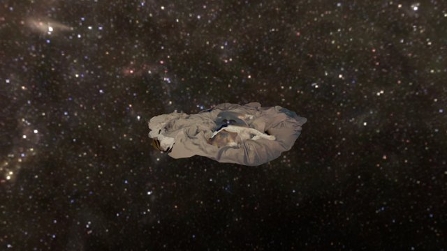 the Sleeping Beagle 3D Model