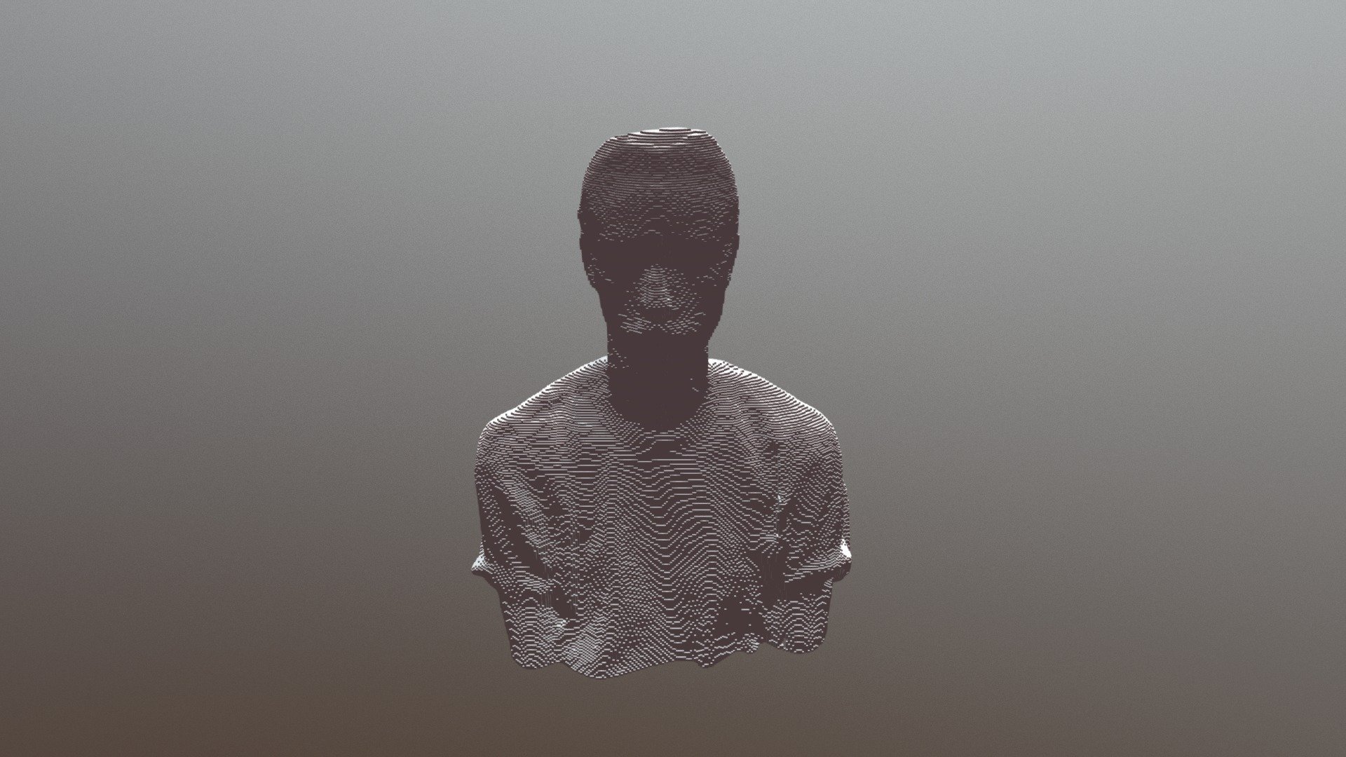 Minecraft MVC Model Scan 3D Test Voxel 255Blocks