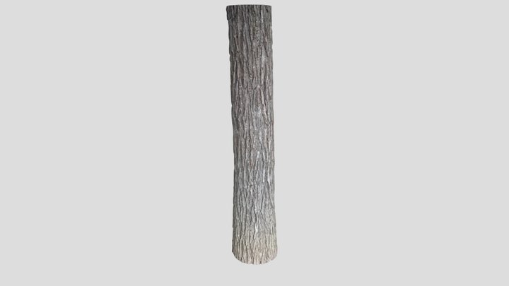 Black Walnut Bark