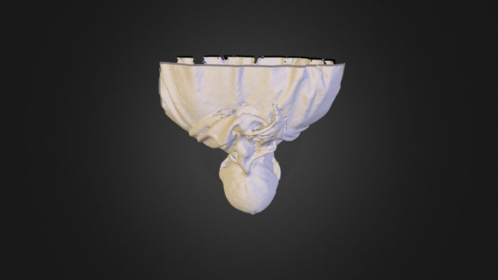 Johhny's scan 3D Model