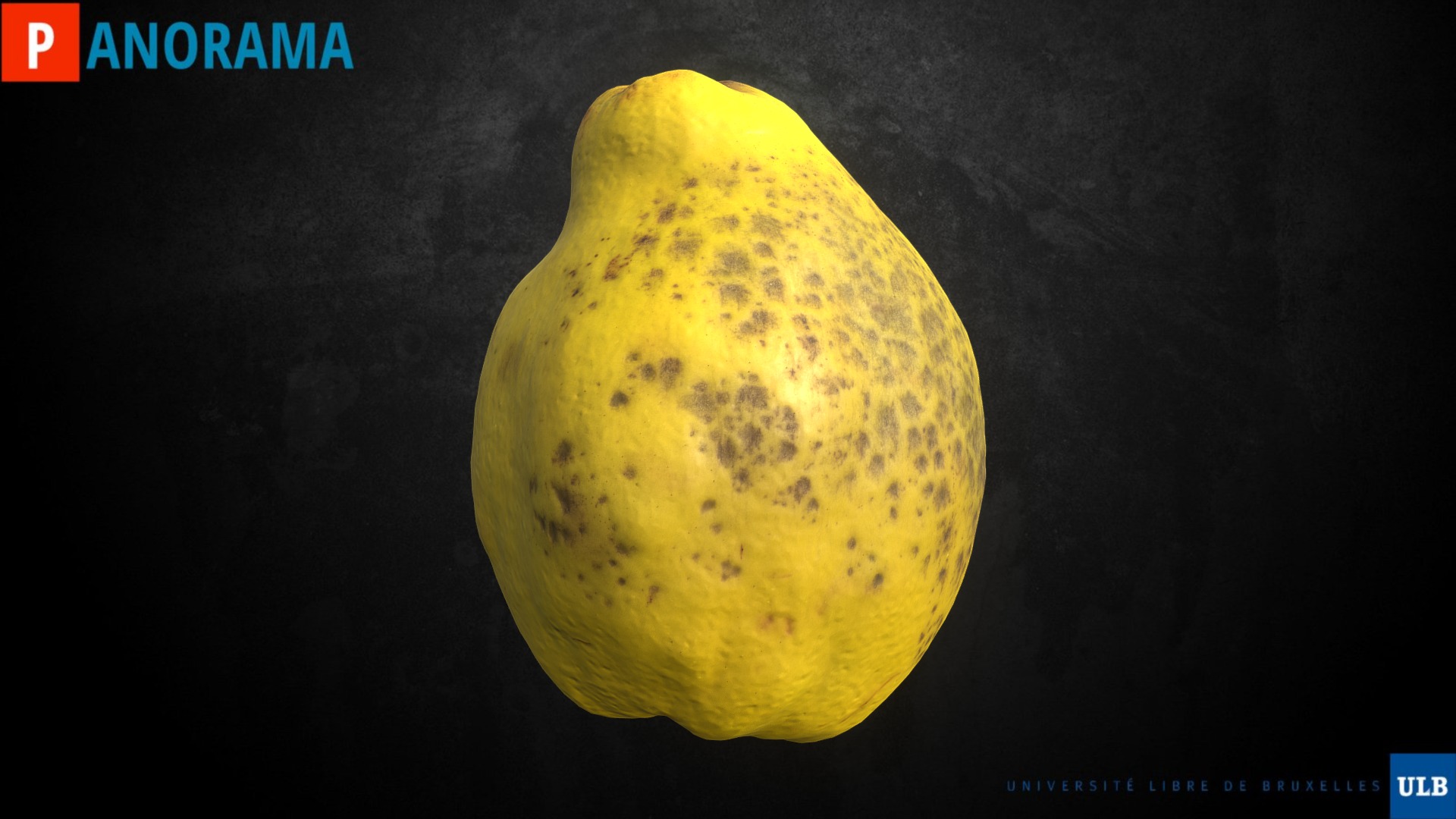 3D model Coing - This is a 3D model of the Coing. The 3D model is about a yellow potato with black background.