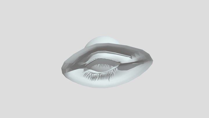 Ojo 3D Model