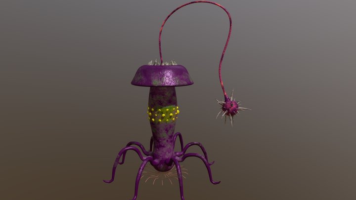 Shyplavora 3D Model