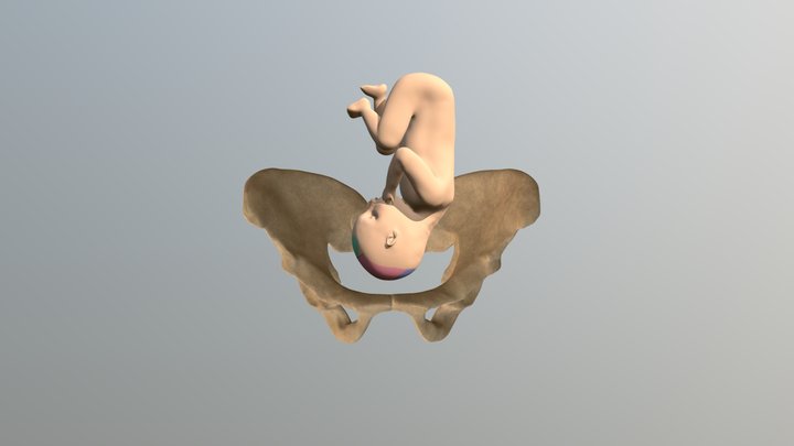 3. Descent 3D Model