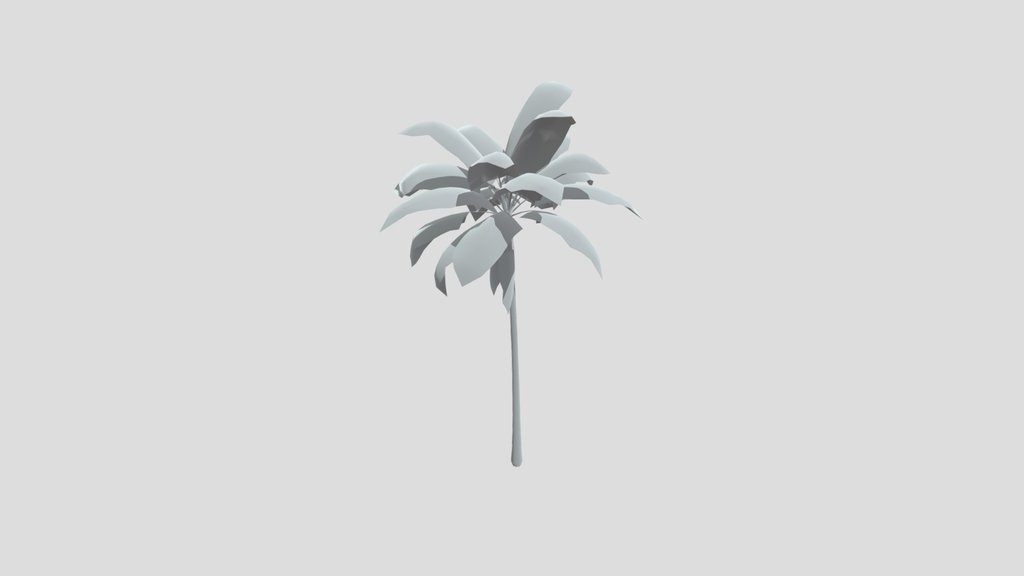 Tropical Palm Tree Large