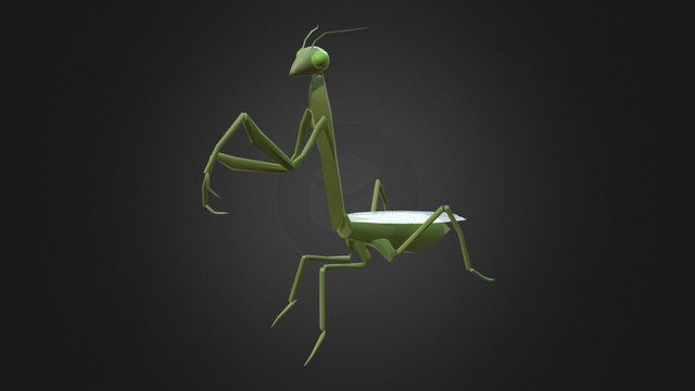 螳螂 3D Model