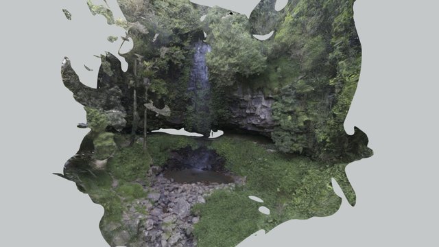 Wild Dorrigo Waterfall 3D Model
