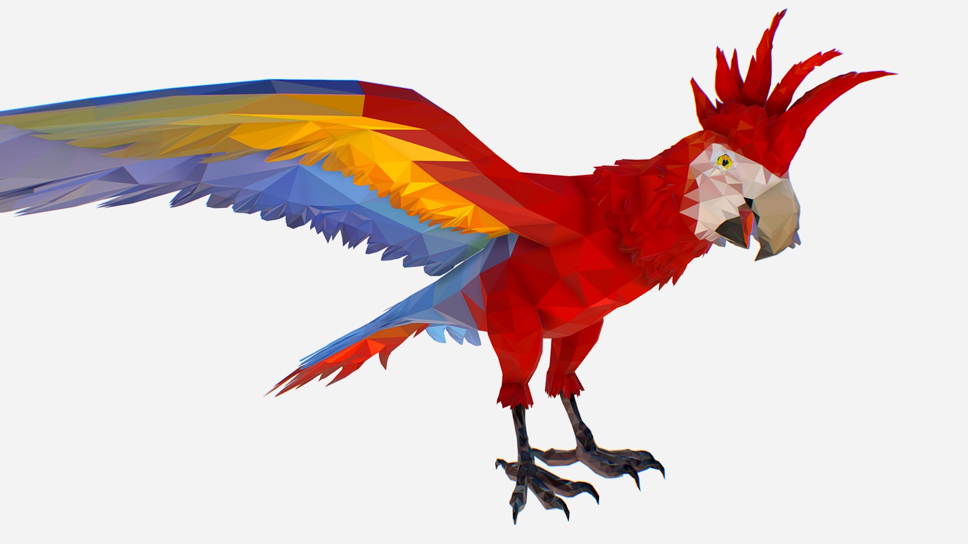 3D model low poly art Red Parrot Bird - This is a 3D model of the low poly art Red Parrot Bird. The 3D model is about chart.