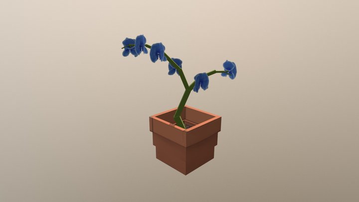 flower_pot_orchid 3D Model