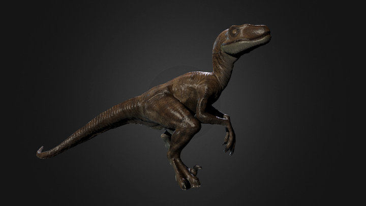 Raptor Photogrammetry test 3D Model