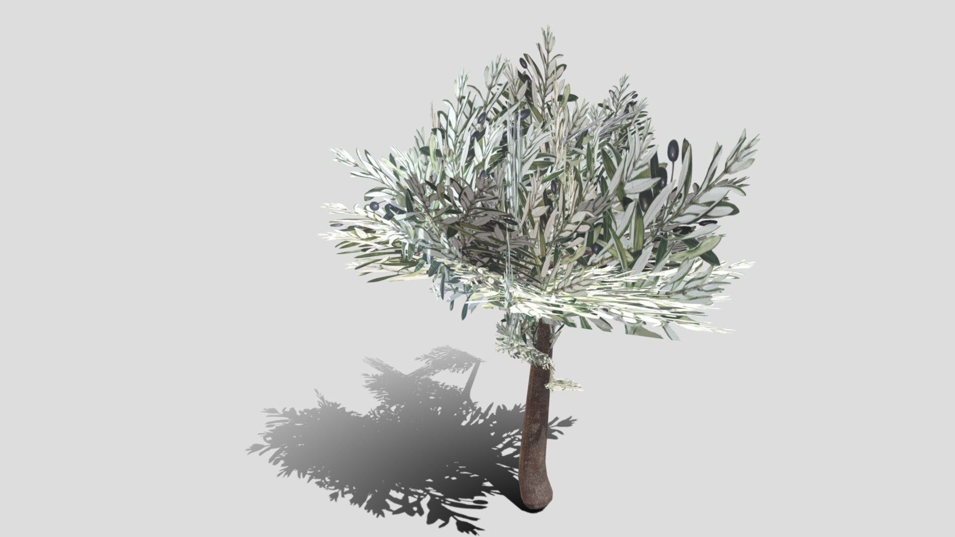 Albero con nodi Blender