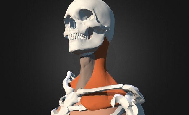 My Sketchfab Mesh 3D Model