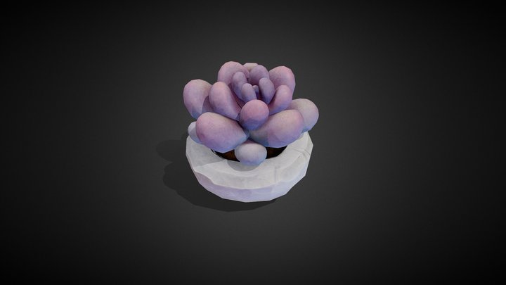 You Succ ulent 3D Model