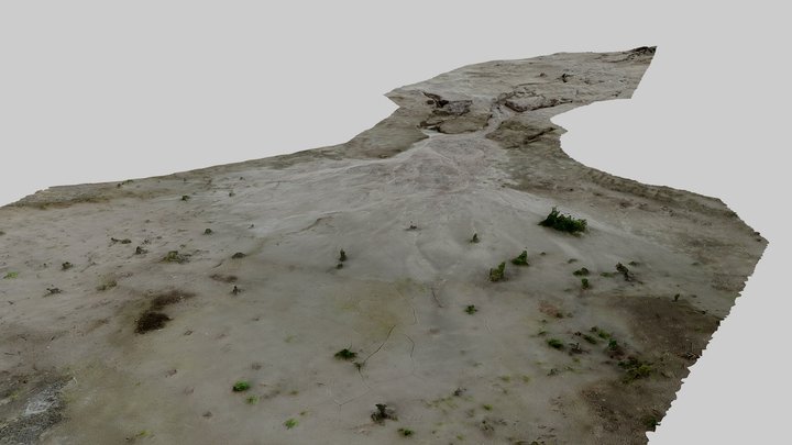 Rainwater "delta" 3D Model