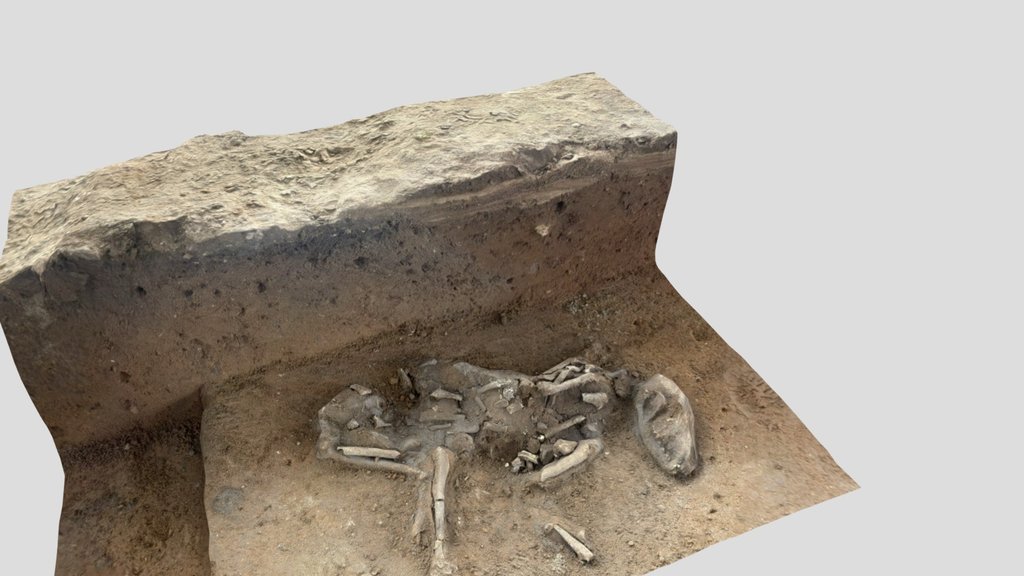 Dog grave Israel