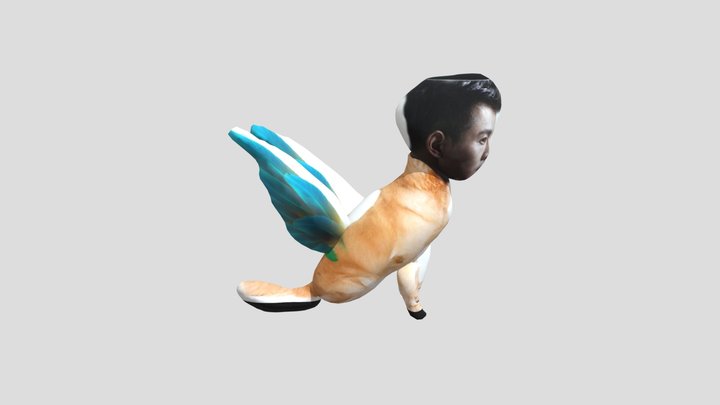 bird dog 3D Model
