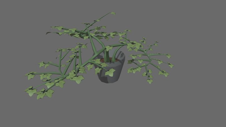Agrawal_Ansh_agraw222_wk8_plant 3D Model