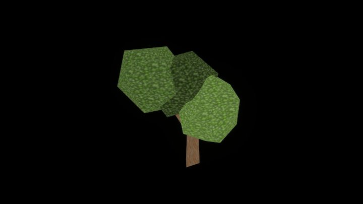 Riddle Tree C 3D Model