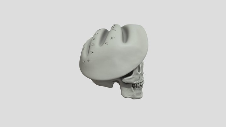 Skull In Beret - Image to STL - SupaVoxel