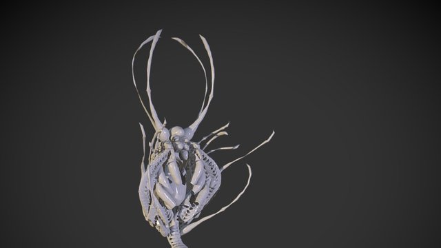 Insect 3D Model