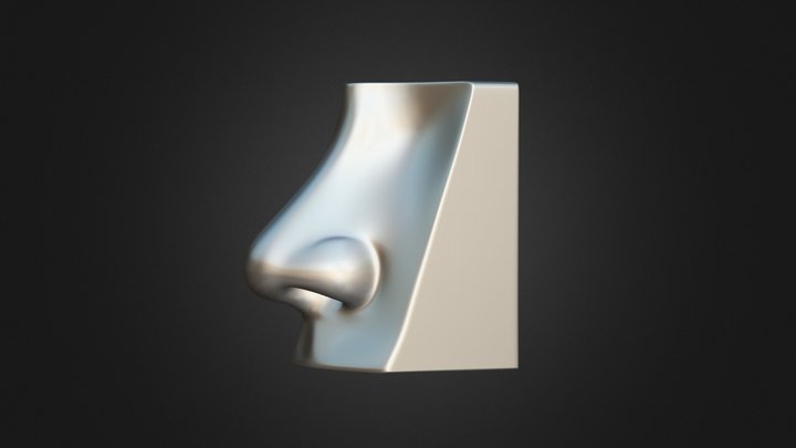 Nose Model 3 3D Model