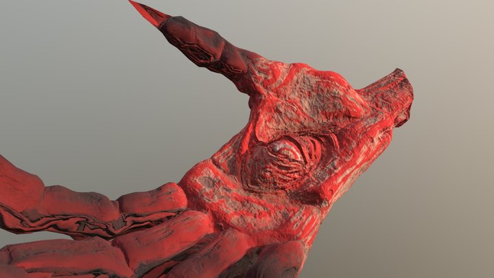 Salek's Hand 3D Model