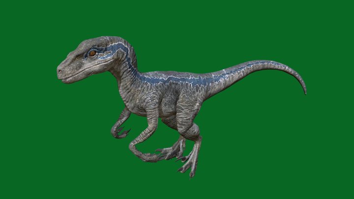 Raptor Blue 3D Model
