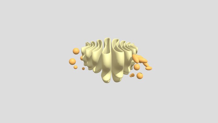 Golgi Apparatus/Complex 3D Model