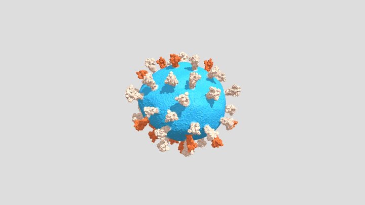 COVID19 virus model 3D Model