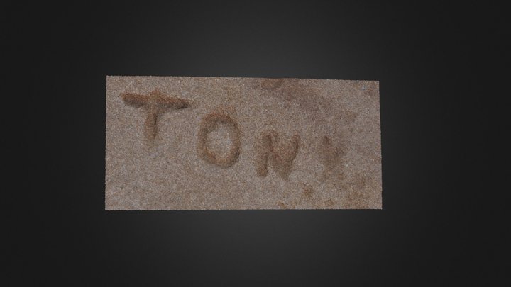 Tony 3D Model