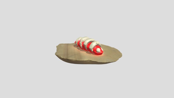 carly the caterpillar – Gratis 3D-model STL