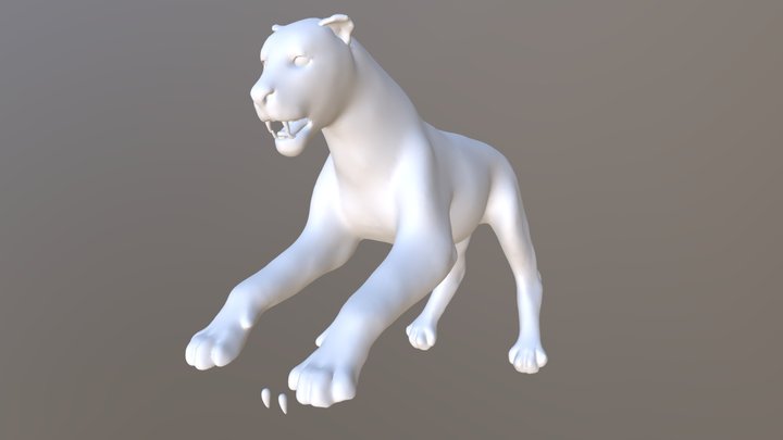 2017 2 3D Model