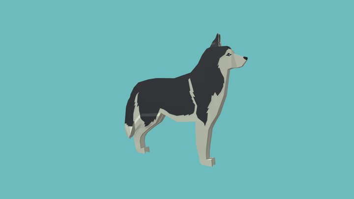 Siberian Husky 3D Model