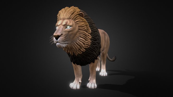 South african lion 3D Model