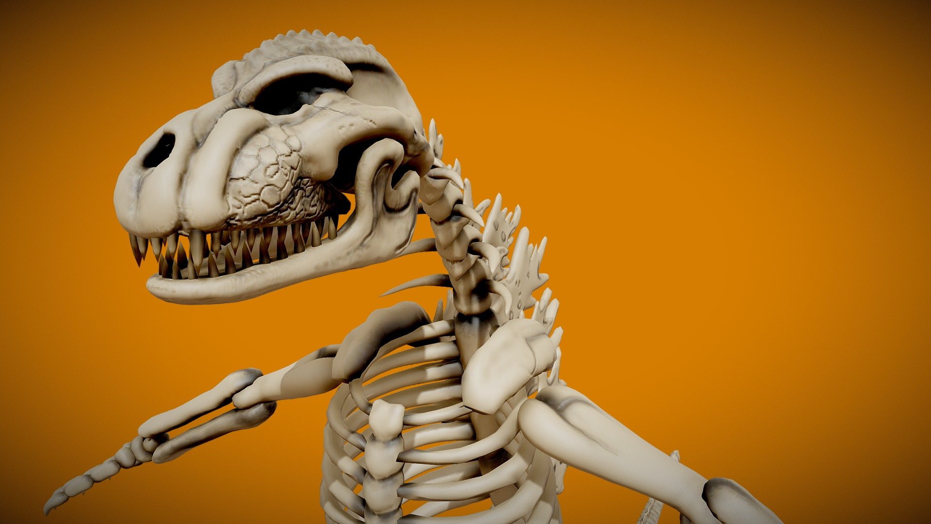 Godzilla's Skeleton (old model) - Download Free 3D model by ...