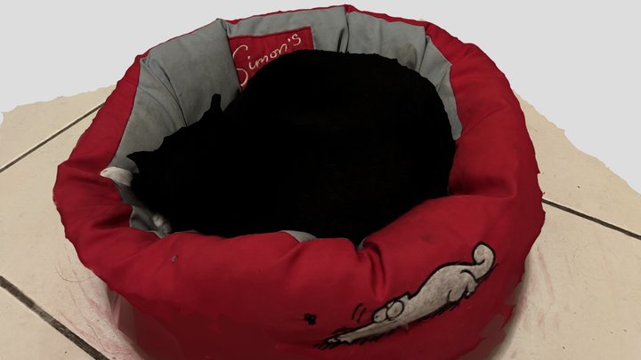 Black cat in red basket Simon's cat 3D Model