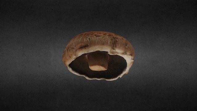Portobello Mushroom scan 3D Model