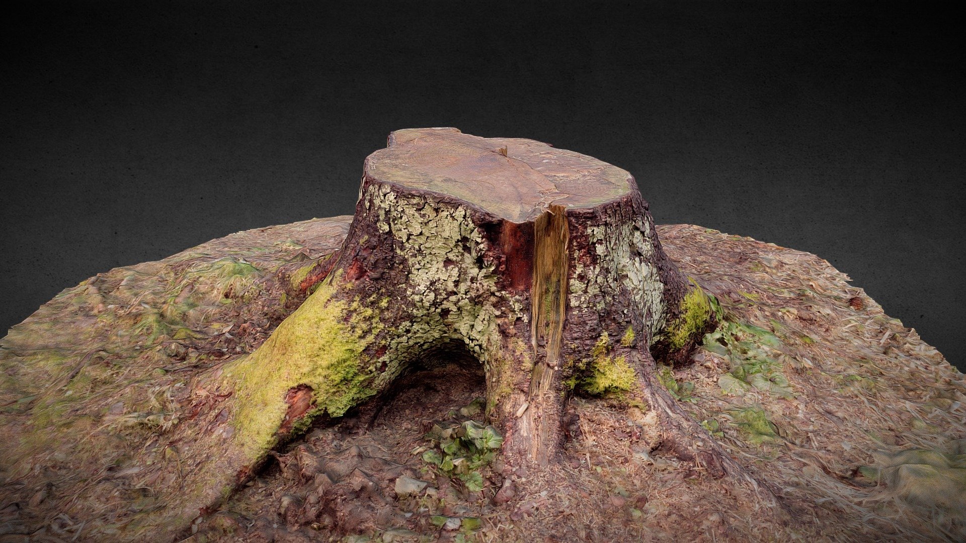 STUMP