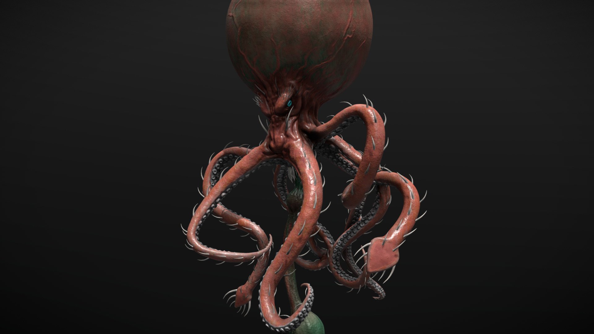 Thorny octopus