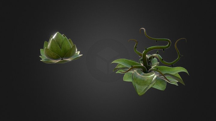 Roots 3D Model