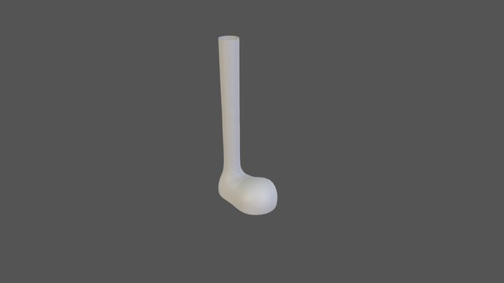 Leg 001 3D Model